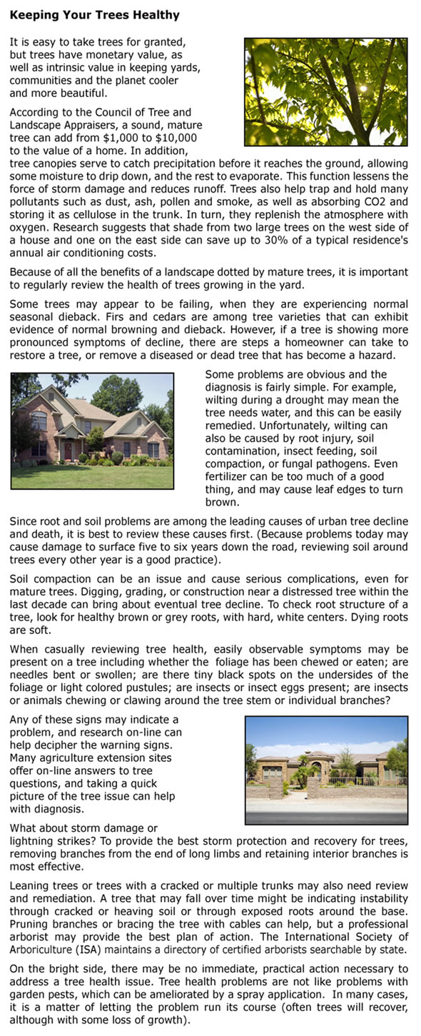 Keeping_Your_Trees_Healthy home inspection seattle, seattle home inspection, seattle home inspectors, seattle home inspector, home inspector seattle, home inspections seattle, home inspectors seattle, washington state home inspectors, seattle home inspections, home inspection seattle wa