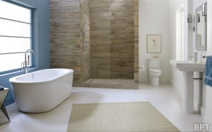 home inspection seattle, seattle home inspection, seattle home inspectors, seattle home inspector, home inspector seattle, home inspections seattle, home inspectors seattle, washington state home inspectors, seattle home inspections, home inspection seattle wa