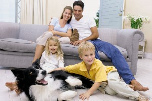 home inspection seattle, seattle home inspection, seattle home inspectors, seattle home inspector, home inspector seattle, home inspections seattle, home inspectors seattle, washington state home inspectors, seattle home inspections, home inspection seattle wa