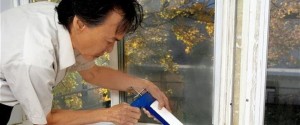 home inspection seattle, seattle home inspection, seattle home inspectors, seattle home inspector, home inspector seattle, home inspections seattle, home inspectors seattle, washington state home inspectors, seattle home inspections, home inspection seattle wa