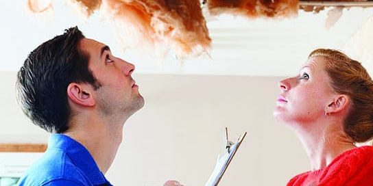 home-inspection attic