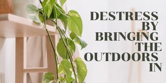 Destress by bringing the outdoors in